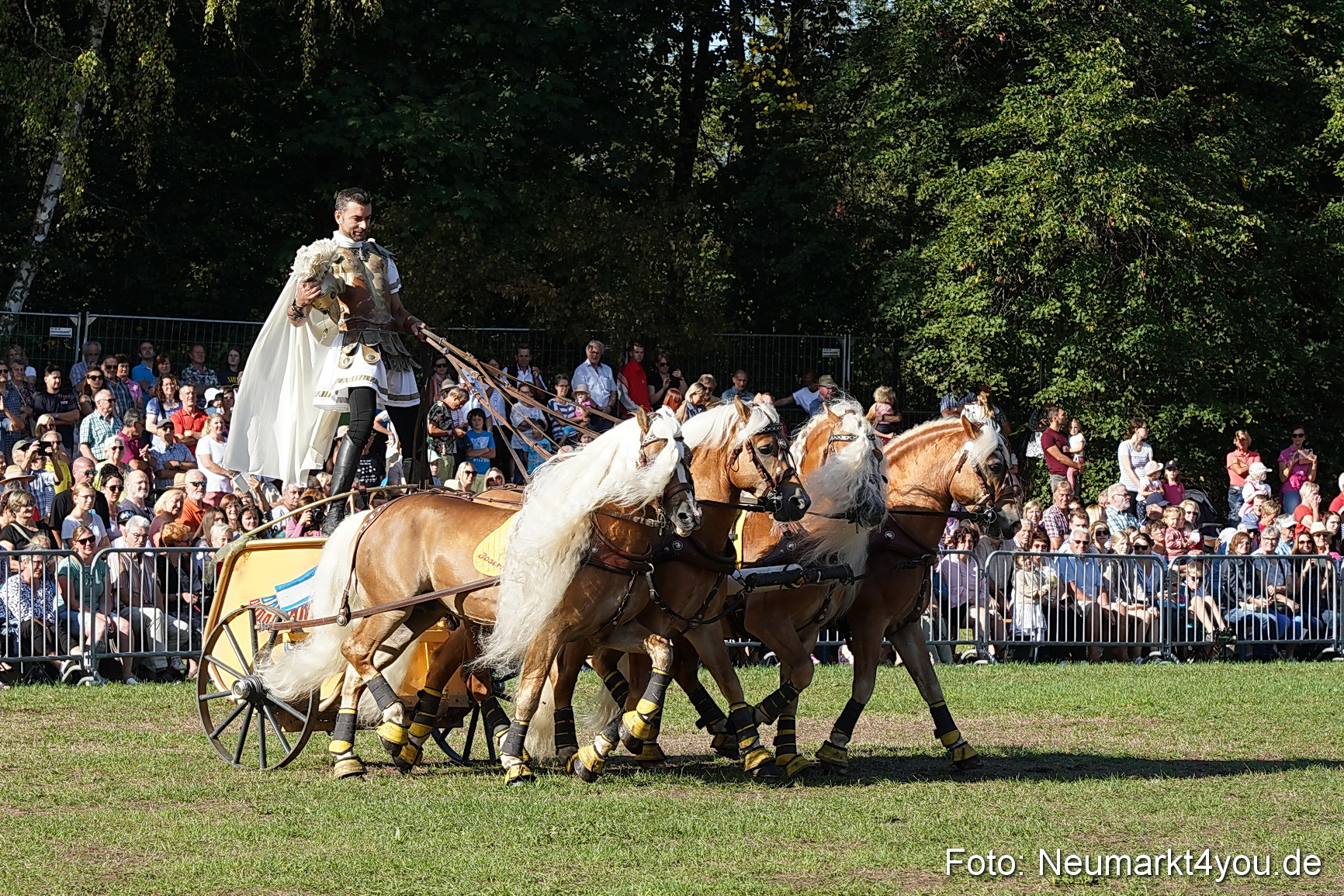 Pferde und Fohlenschau 2022 0023 